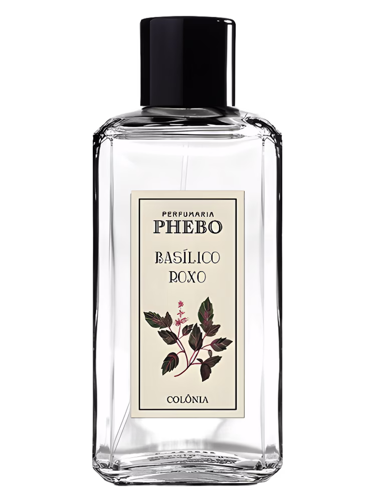 Phebo Basílico Roxo
