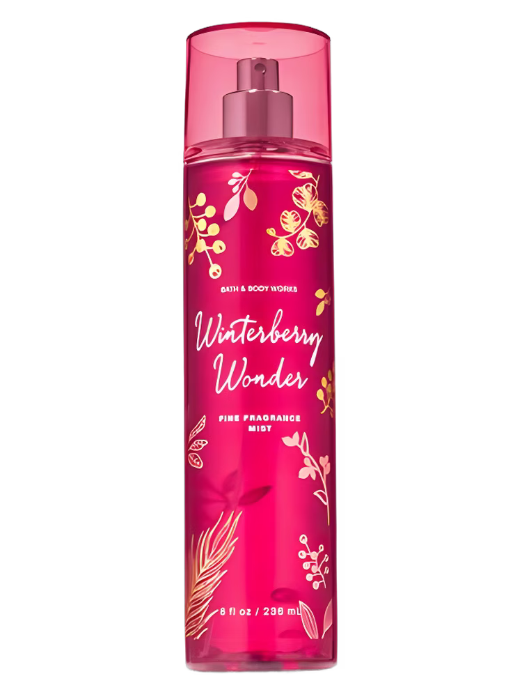 Bath &amp; Body Works Winterberry Wonder