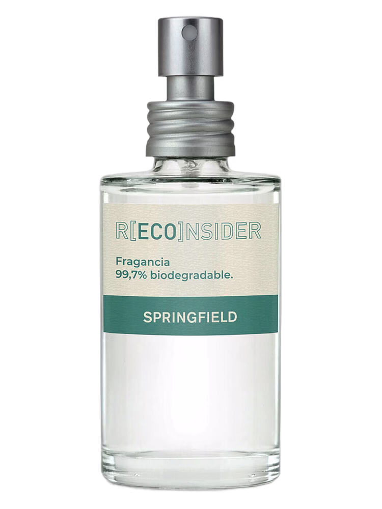 Springfield R(ECO)nsider