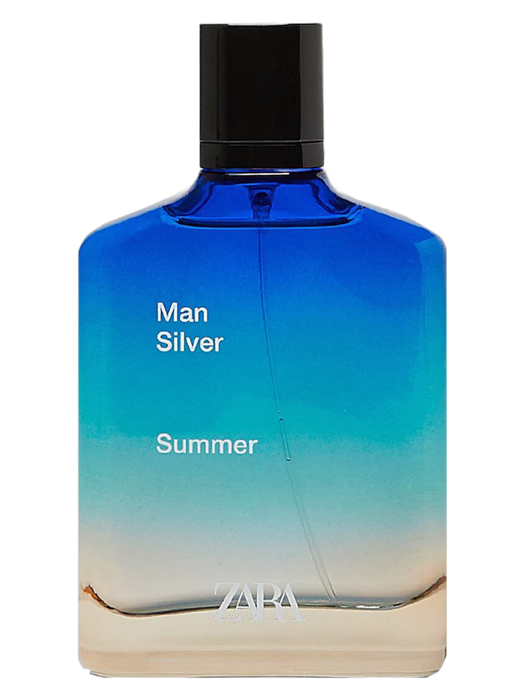 Zara Zara Man Silver Summer 2020