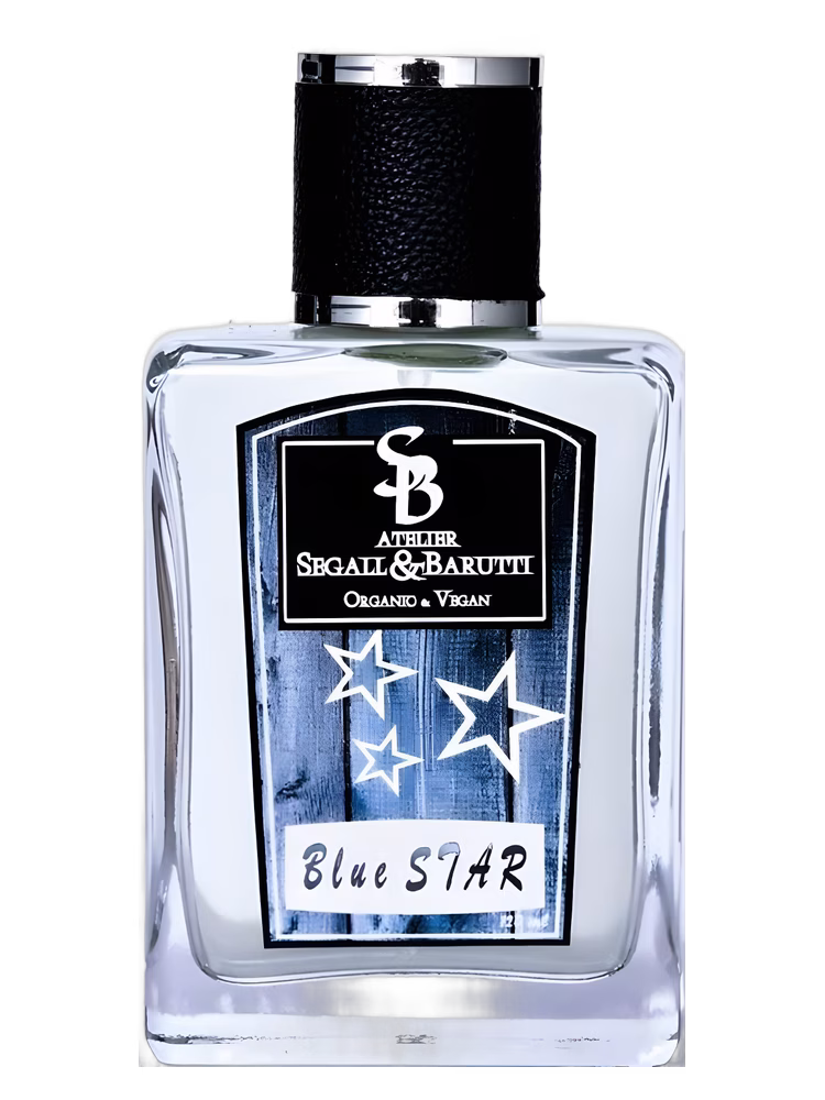 Atelier Segall & Barutti Blue Star