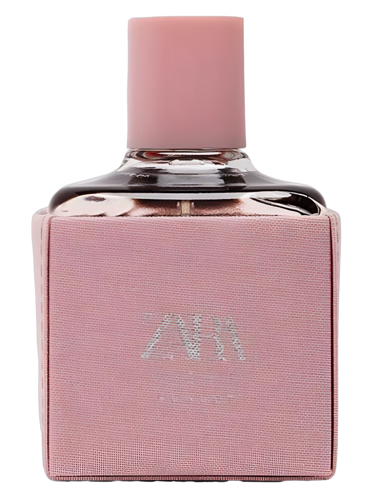 Zara Orchid Sunset