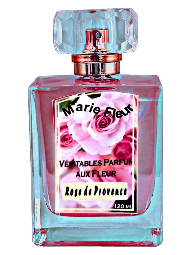 Atelier Segall & Barutti Rose de Provence