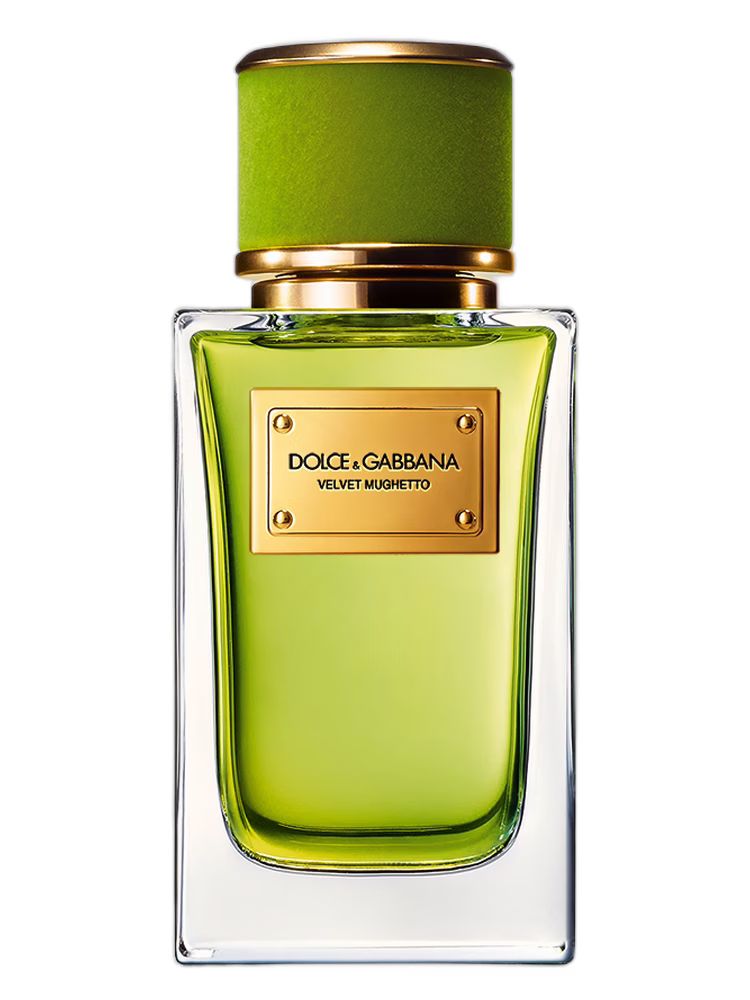 Dolce&amp;Gabbana Velvet Mughetto