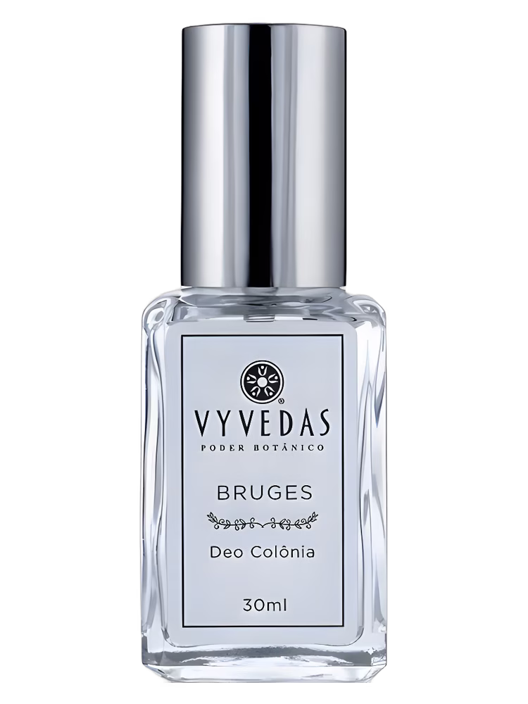 Vyvedas Bruges
