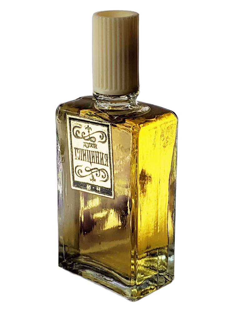 Сувенир (Краснодар) Глициния (Glicinia)