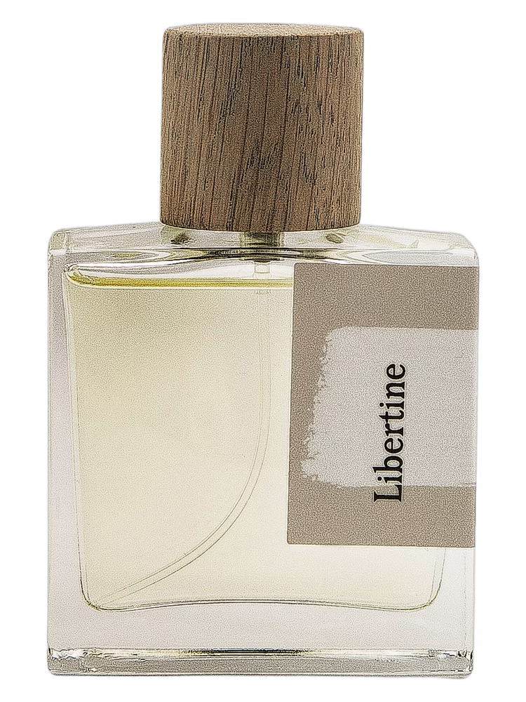 Contradictions in ILK Libertine