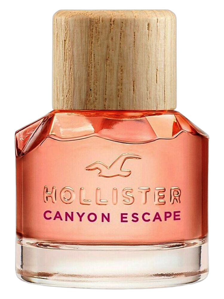 Hollister Hollister Canyon Escape Woman