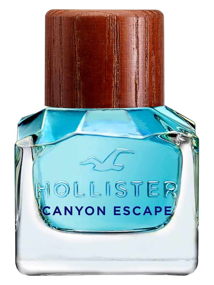 Hollister Hollister Canyon Escape Man