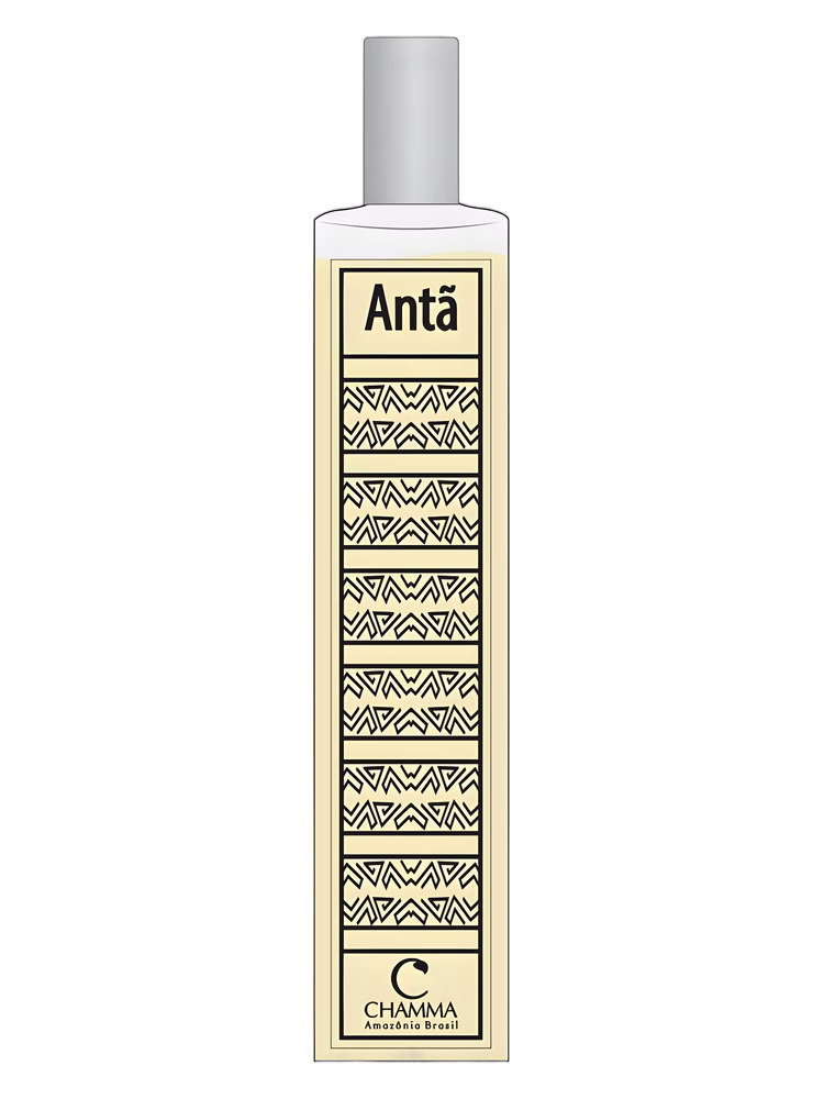 Chamma da Amazônia Antã