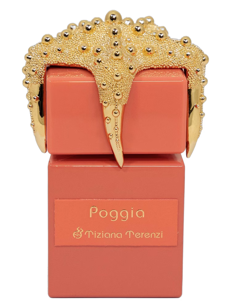 Tiziana Terenzi Poggia