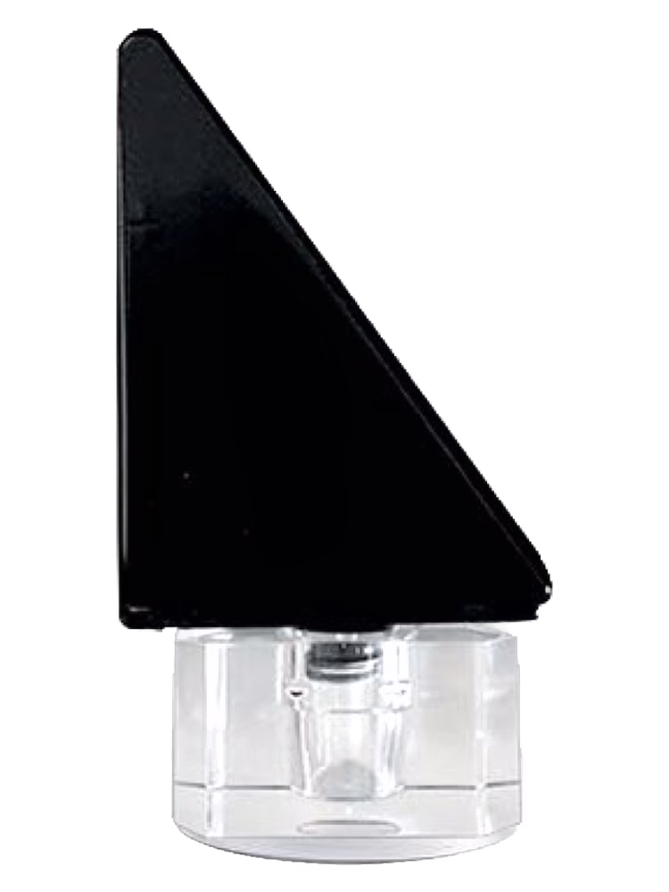 Parfums de Nietzsche Surhomme Noir