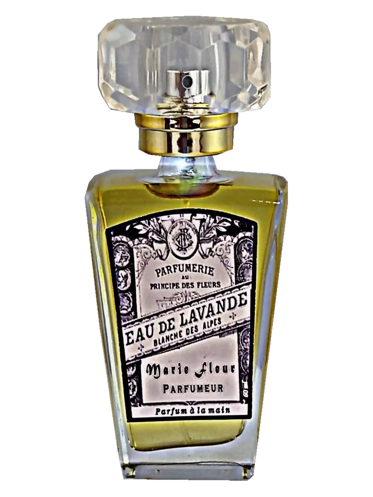 Atelier Segall & Barutti Eau de Lavander