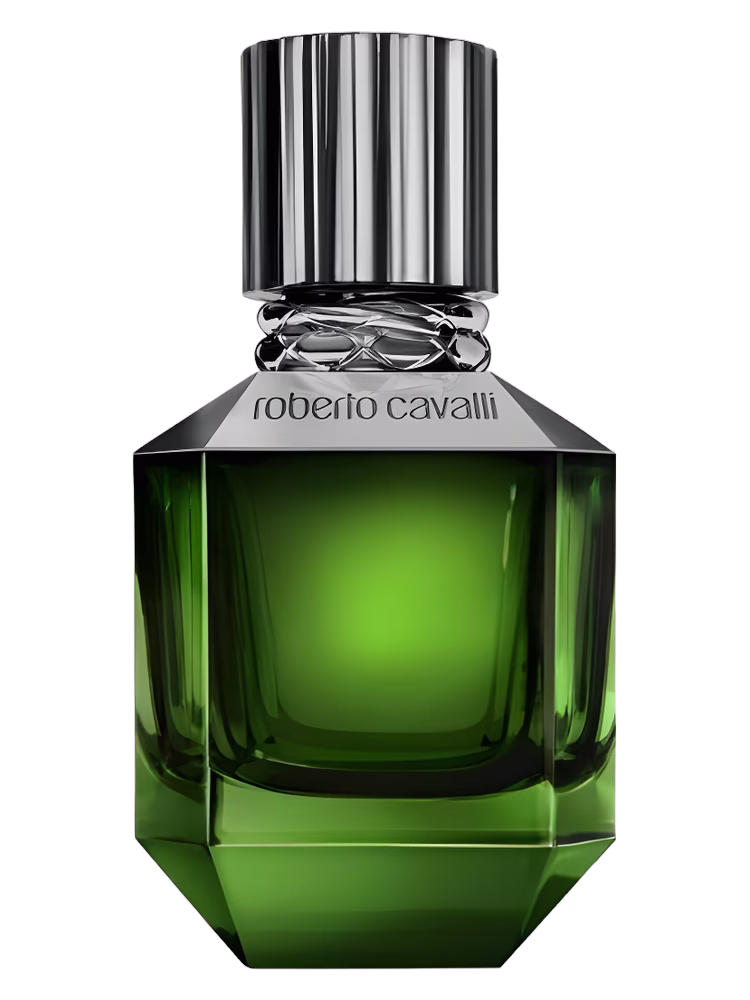 Roberto Cavalli Paradise Found For Men