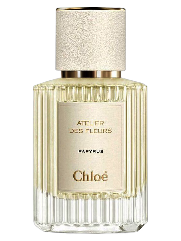 Chloé Papyrus