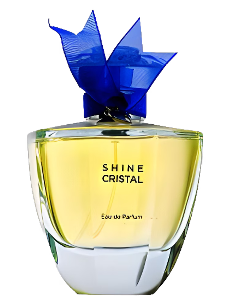 Kristel Saint Martin Shine Cristal