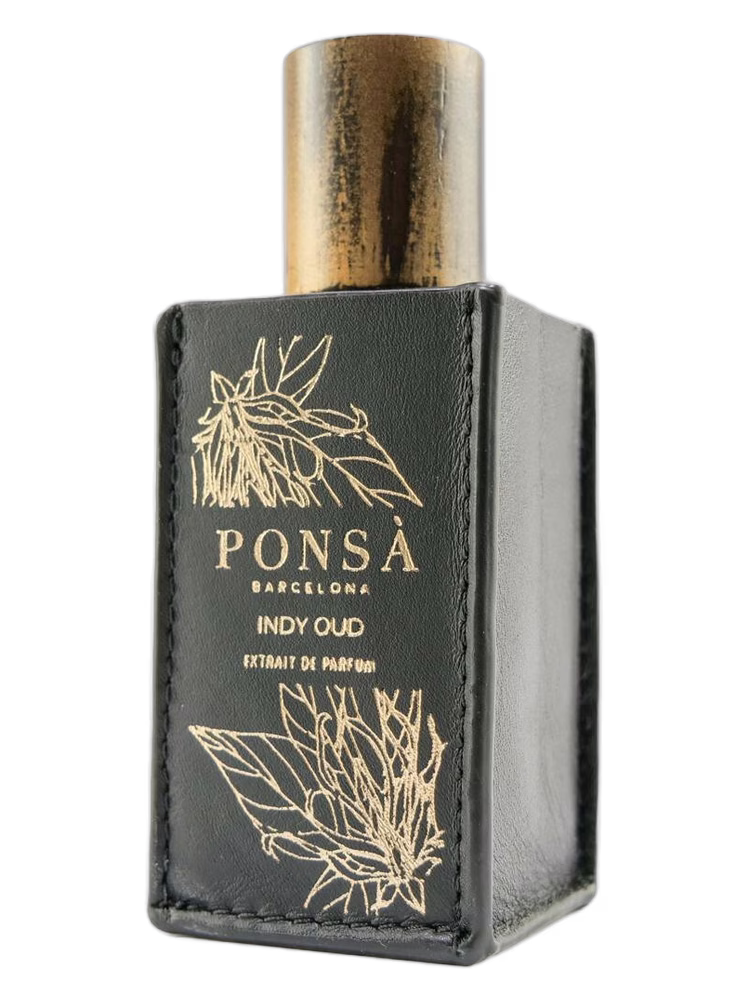 Ponsa Indy Oud