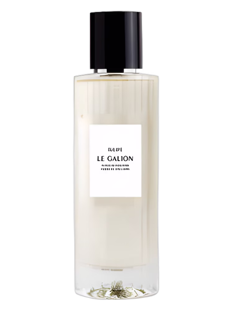 Le Galion Tulipe