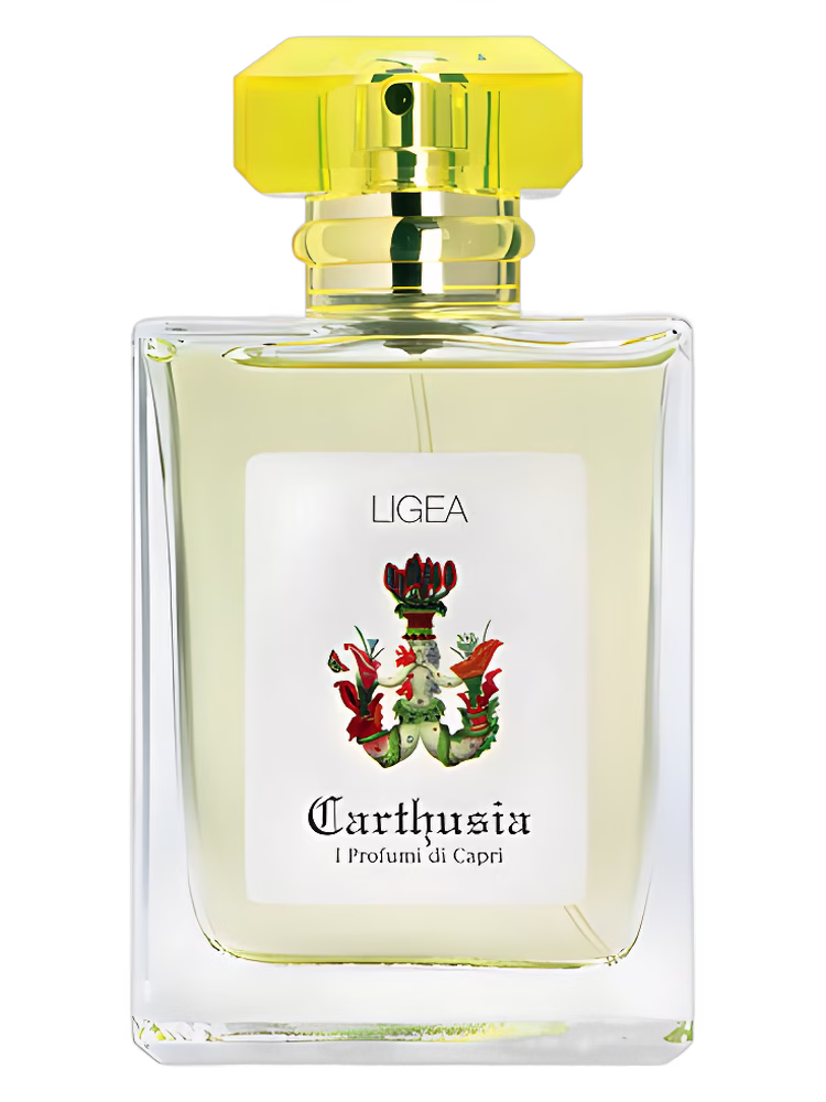 Carthusia Ligea (Ligea la Sirena)