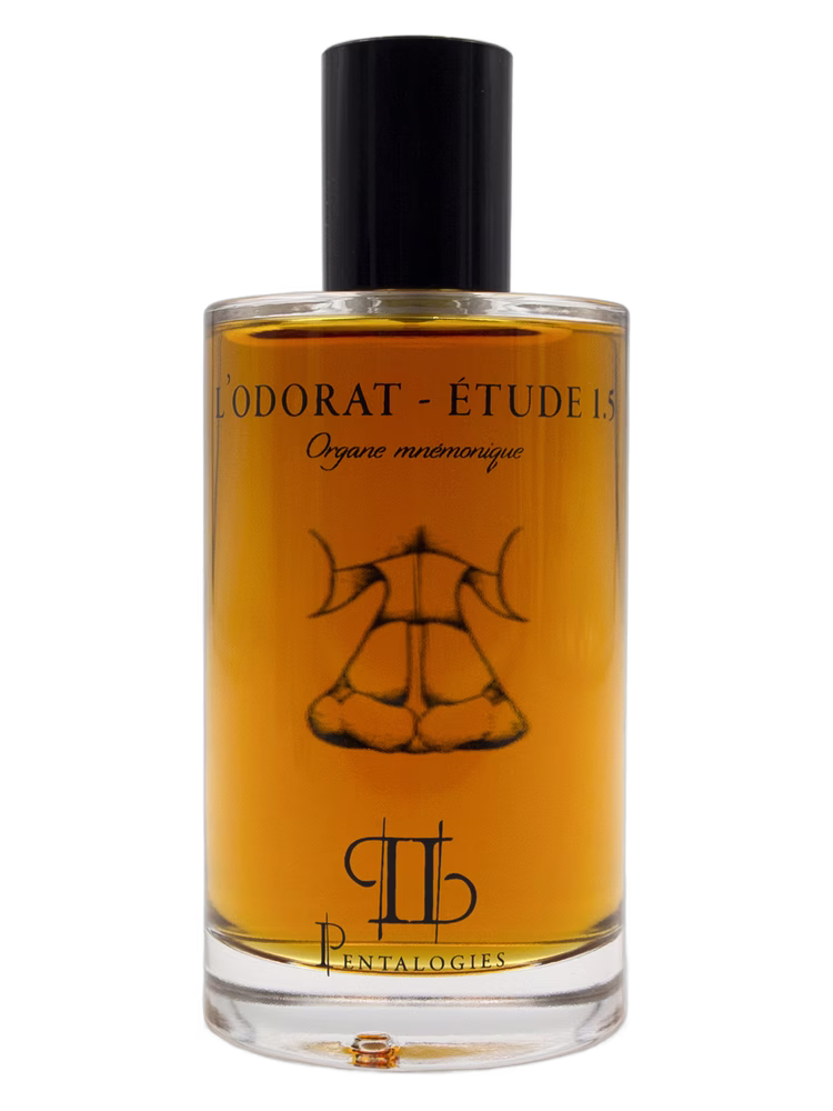 Pentalogies Etude 1.5: L’Odorat