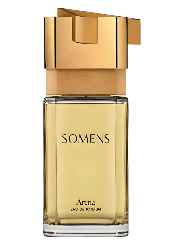 Somens Arena