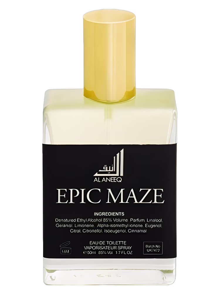 Al Aneeq Epic Maze