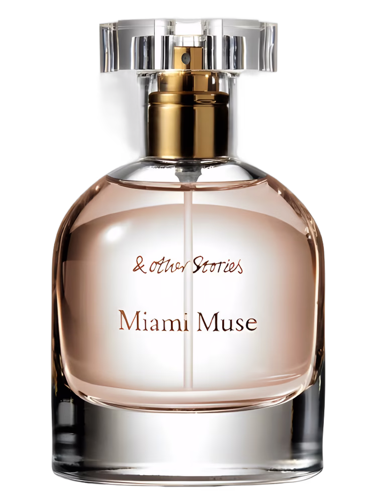 And Other Stories Miami Muse