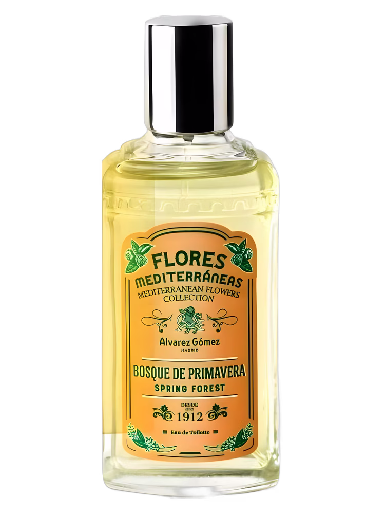 Alvarez Gómez Bosque de Primavera (Spring Forest)