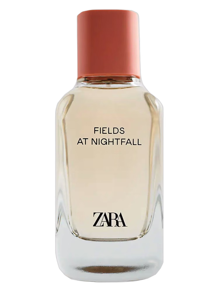 Zara Fields at Nightfall 2020
