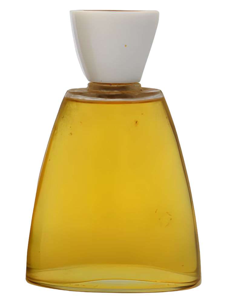Pierre Cardin Amadis