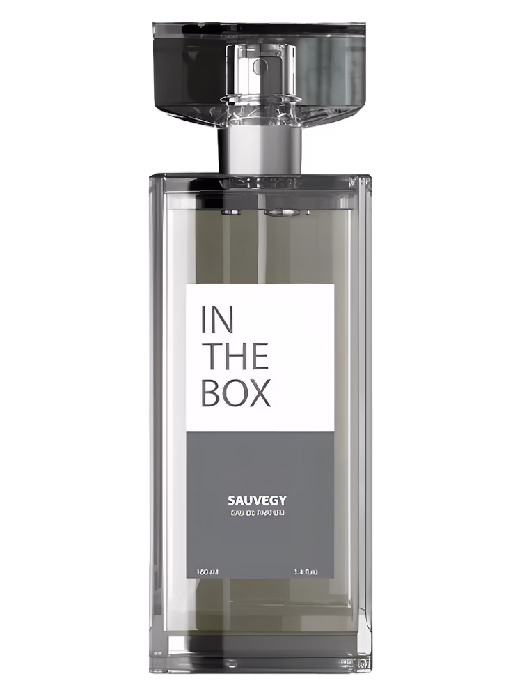 In The Box Sauvegy