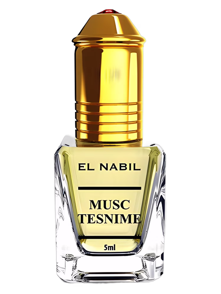 El Nabil Musk Tesnime