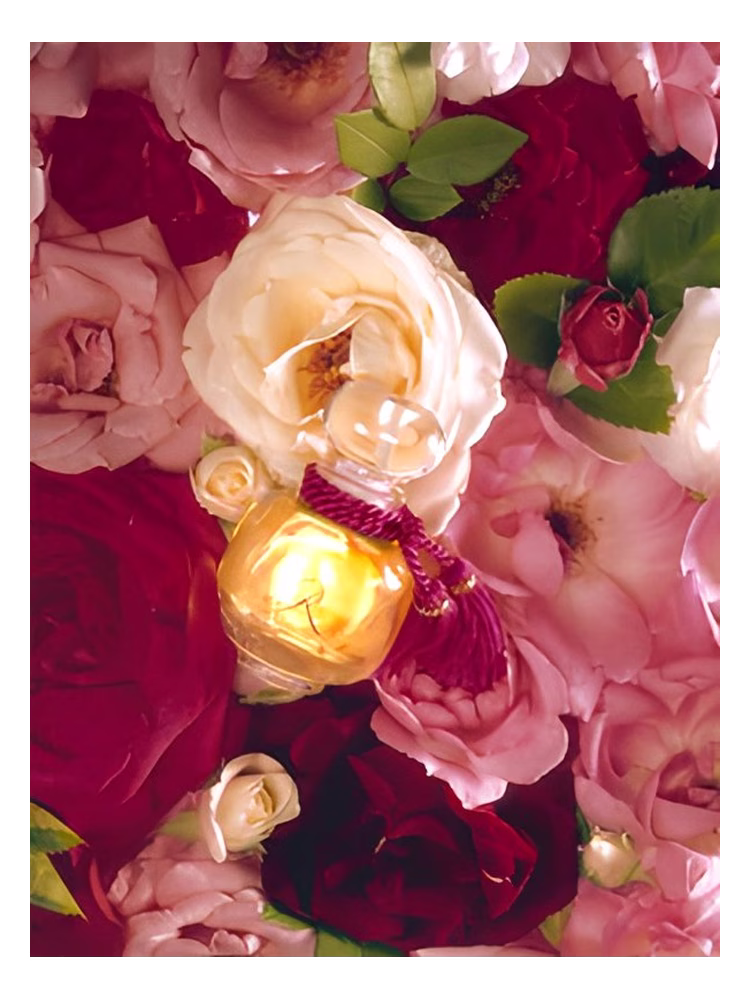 Les Parfums de Rosine La Rose Legere