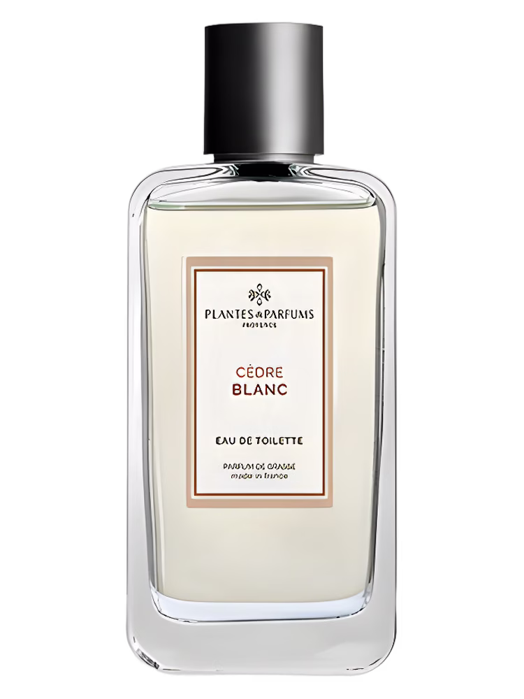 Plantes & Parfums Cèdre Blanc
