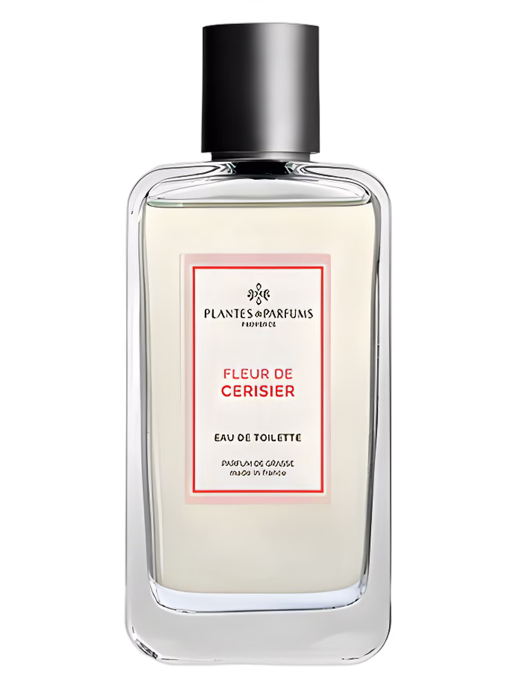 Plantes & Parfums Fleur de Cerisier