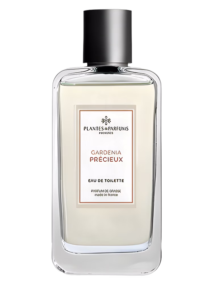 Plantes & Parfums Gardenia Précieux