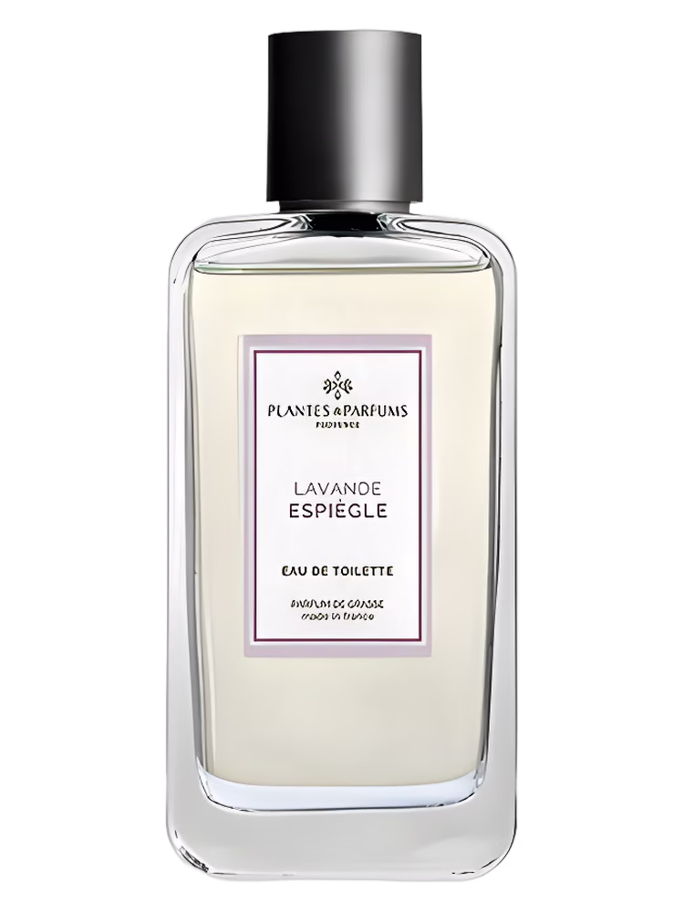 Plantes & Parfums Lavande Espiègle