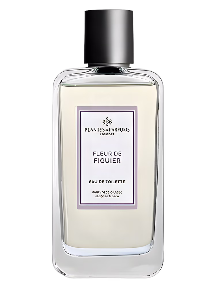 Plantes & Parfums Fleur de Figuier