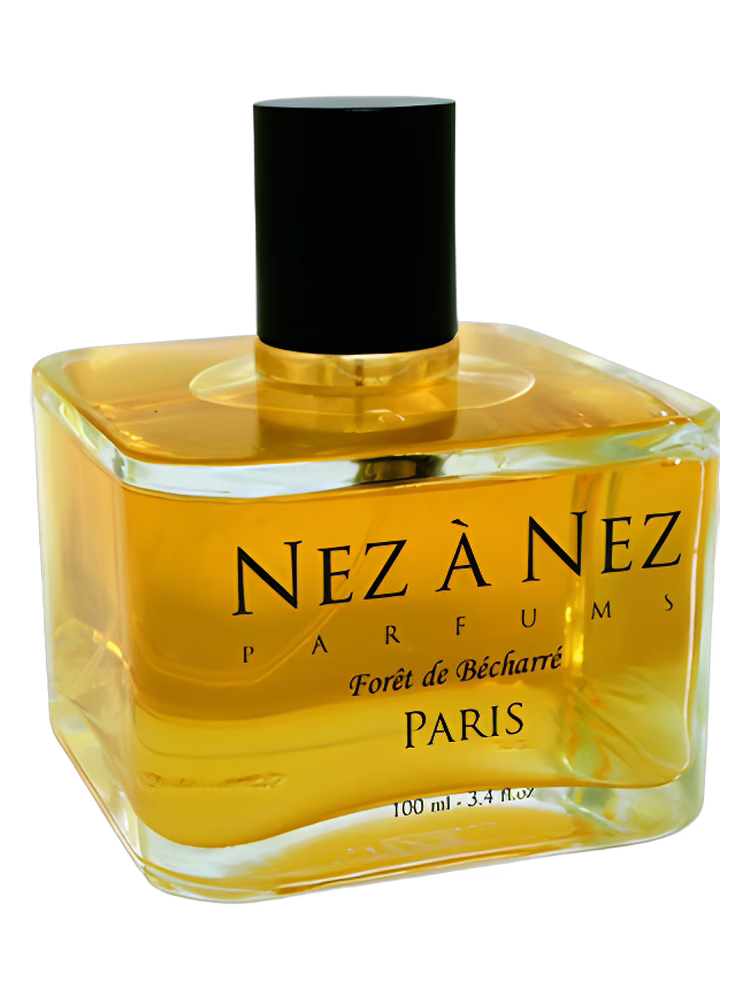Nez a Nez Foret de Becharre