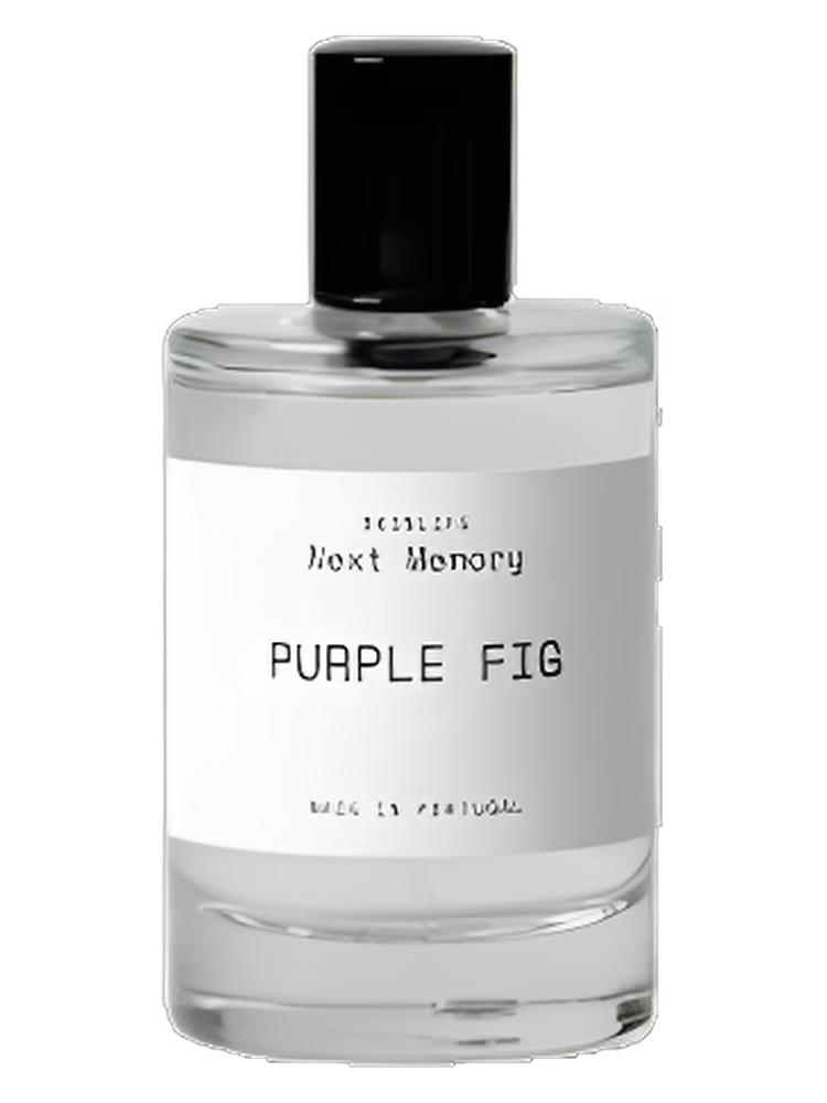 Next Memory Purple Fig