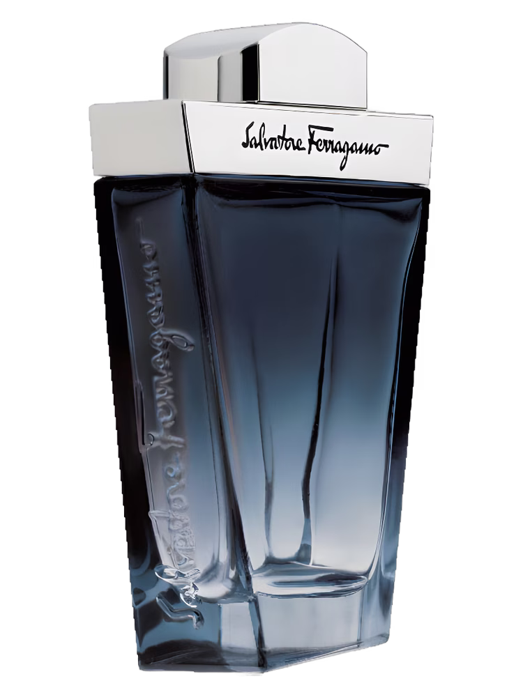 Salvatore Ferragamo Salvatore Ferragamo Subtil Pour Homme