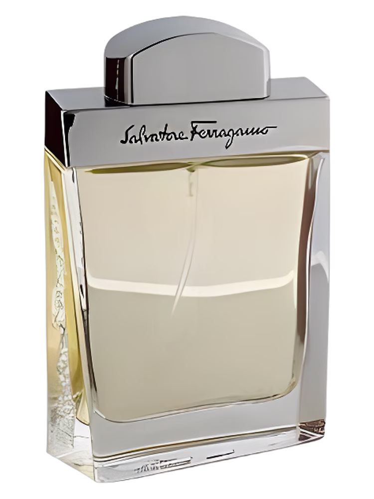 Salvatore Ferragamo Salvatore Ferragamo Pour Homme