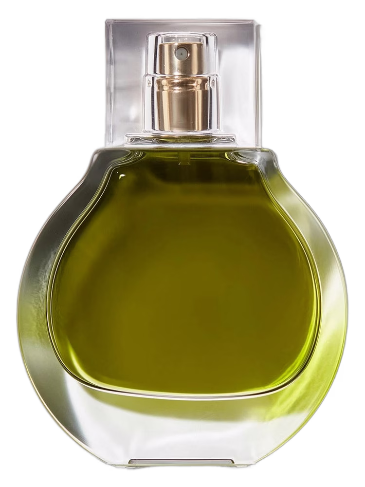 KKW Fragrance Olive