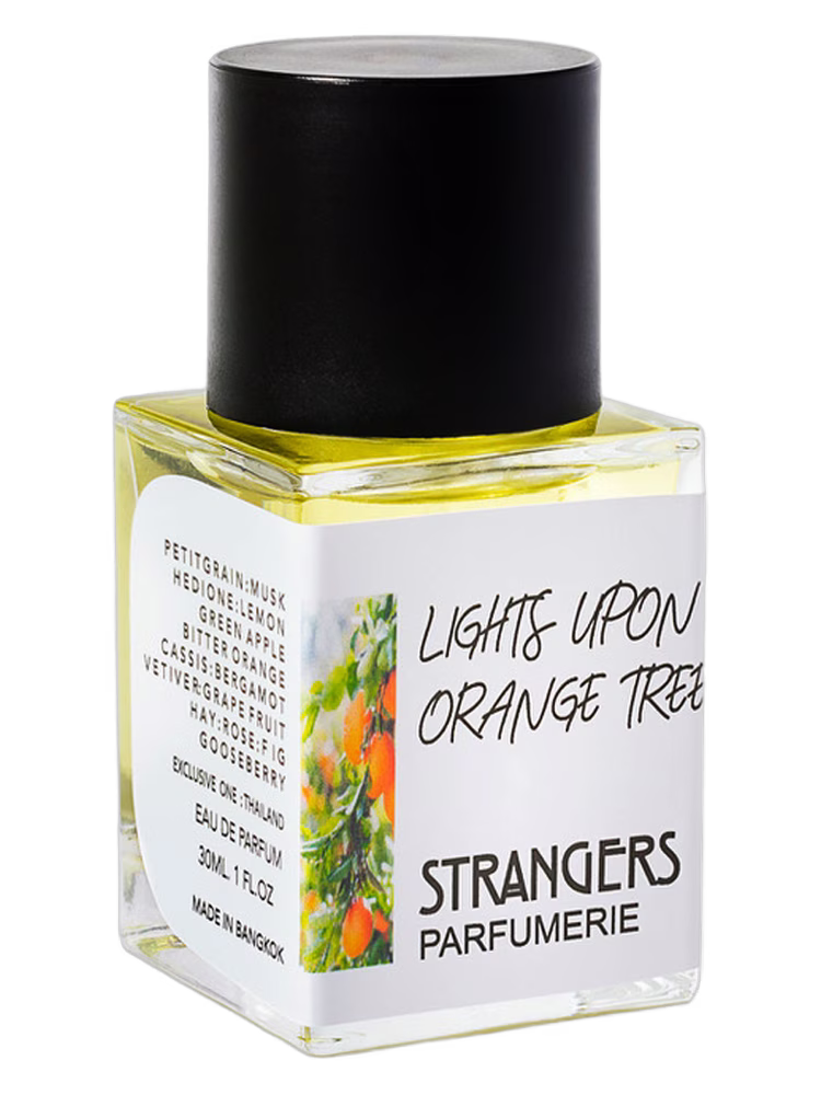 Strangers Parfumerie Lights Upon Orange Tree