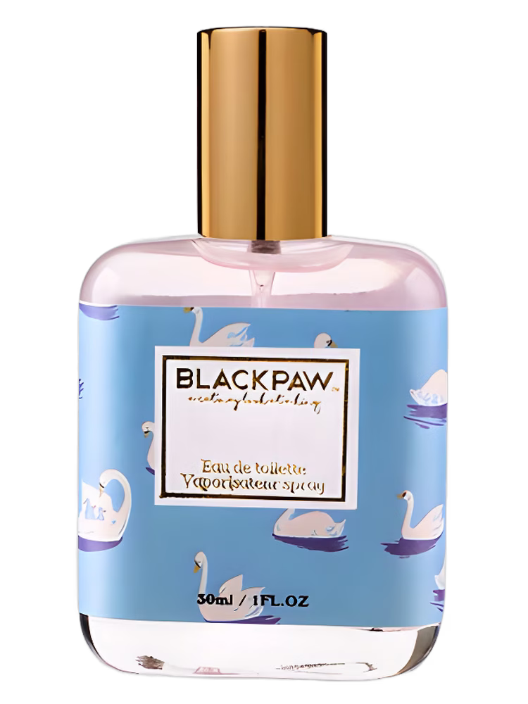 Black Paw Swan