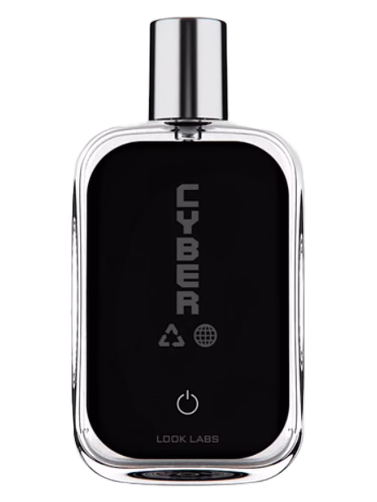 Look Labs Cyber