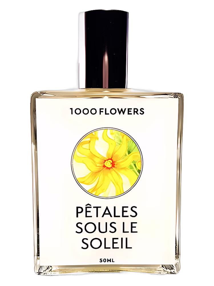 1000 Flowers Pêtales Sous Le Soleil