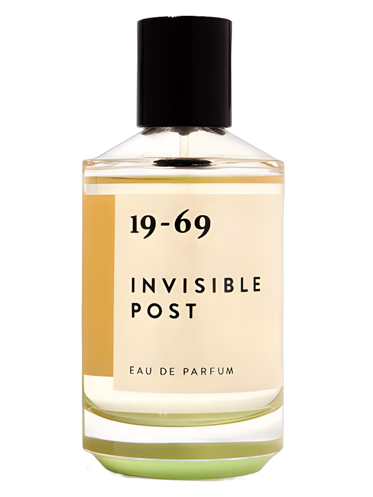 19-69 Invisible Post