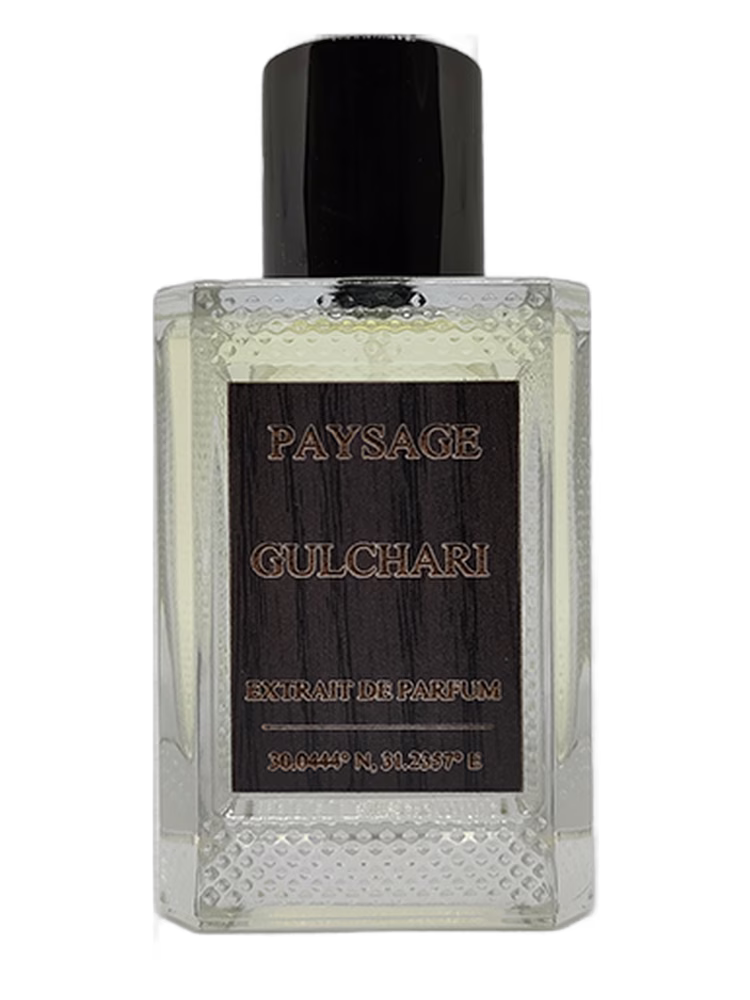 Paysage Gulchari