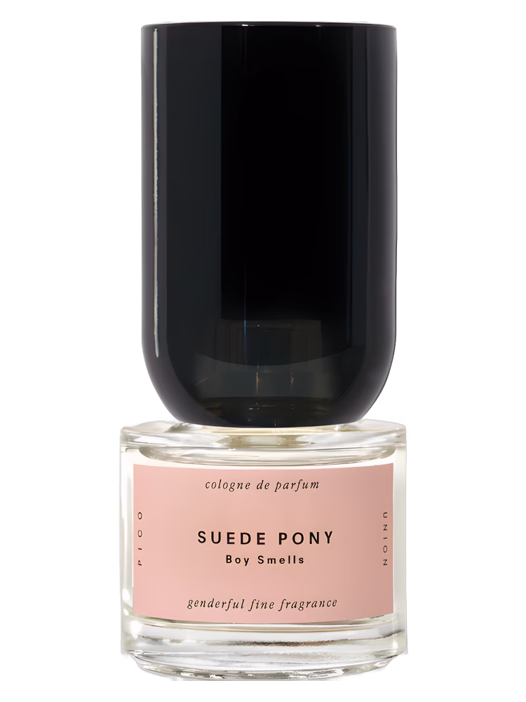 Boy Smells Suede Pony